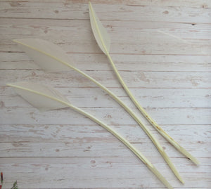 Creamy Ivory Turkey Arrow Feathers x 3