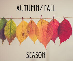 Autumn/ Fall Season