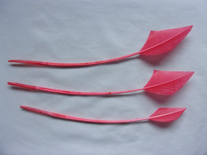 Coral Turkey Arrow Feathers x 3