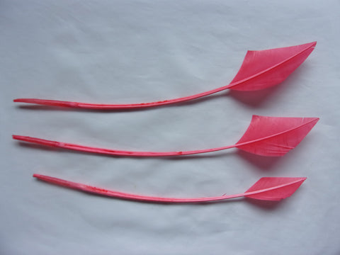 Coral Turkey Arrow Feathers x 3