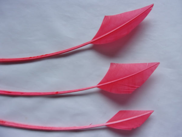 Coral Turkey Arrow Feathers x 3