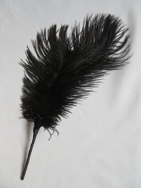 Black Regency Ostrich Feather Sprig