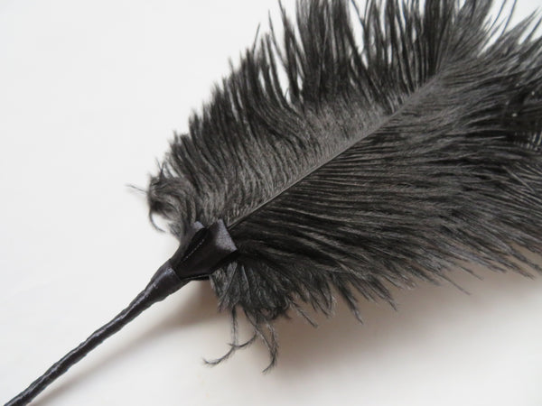 Black Regency Ostrich Feather Sprig