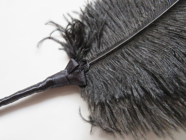 Black Regency Ostrich Feather Sprig
