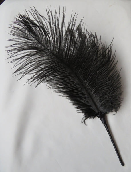 A single black ostrich feather with a long stem, laid diagonally on a white fabric background.