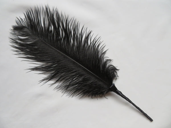 Black Regency Ostrich Feather Sprig