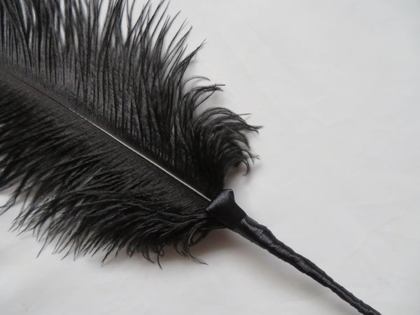 Black Regency Ostrich Feather Sprig