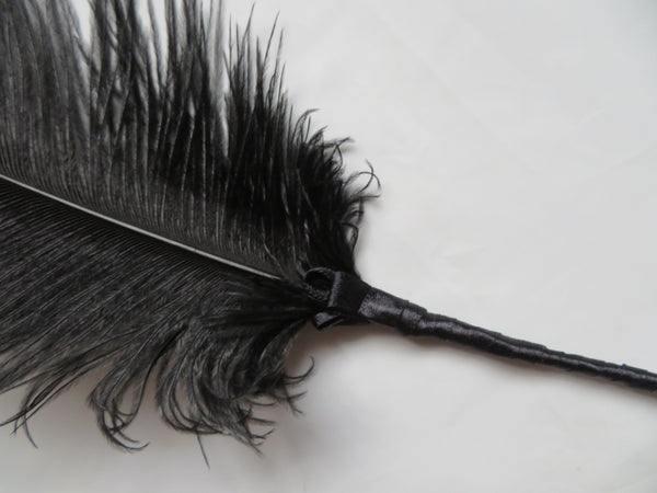 Black Regency Ostrich Feather Sprig