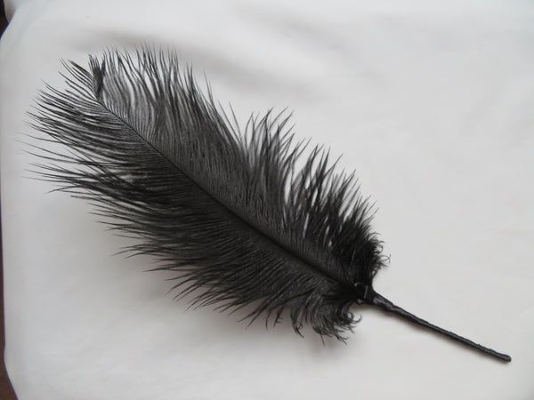 Black Regency Ostrich Feather Sprig