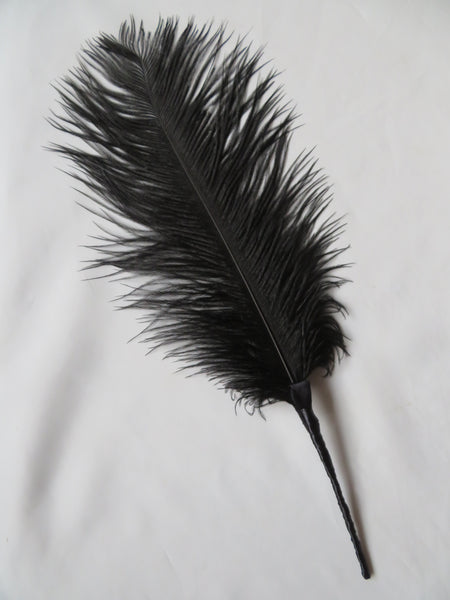 Black Regency Ostrich Feather Sprig