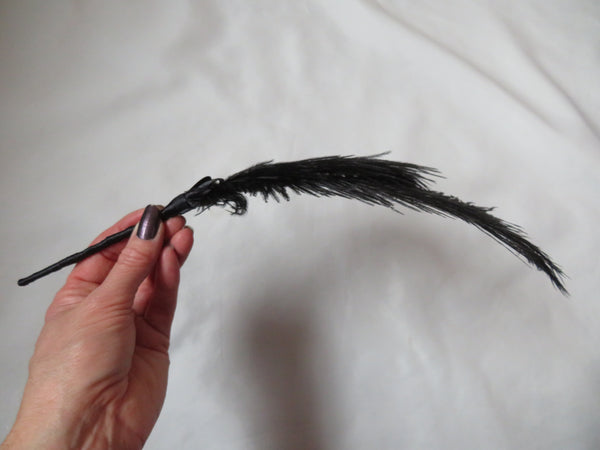 Black Regency Ostrich Feather Sprig