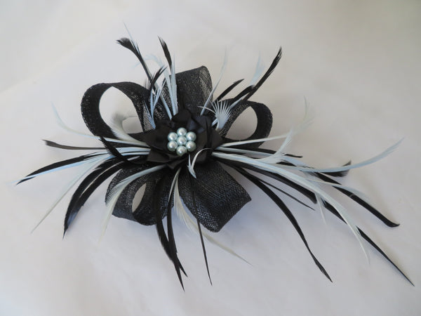 Black & Pale Blue Lily