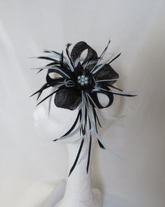 Black & Pale Blue Lily