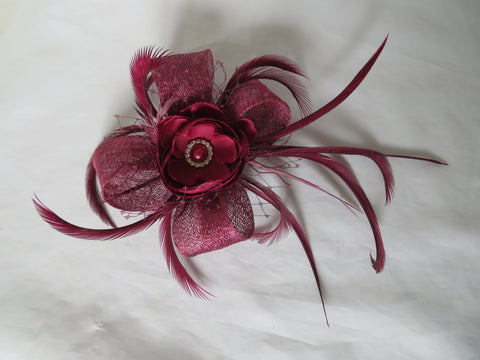 Plum Lillibelle