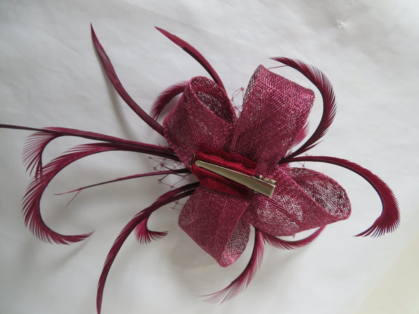 Plum Lillibelle