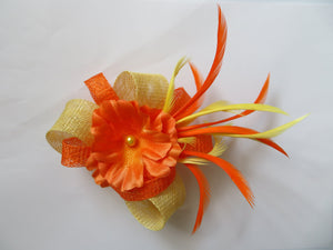 Orange & Primrose Yellow Roxi