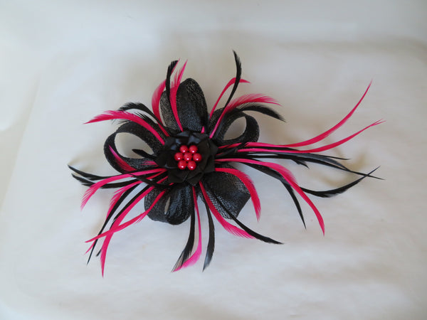 Black & Cerise Pink Lily