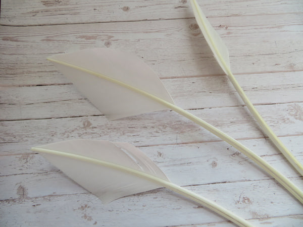 Creamy Ivory Turkey Arrow Feathers x 3