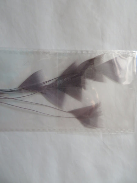 Pewter Grey Coque Feathers
