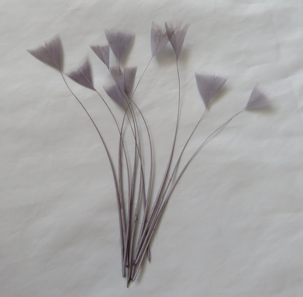 Pewter Grey Coque Feathers