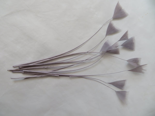 Pewter Grey Coque Feathers