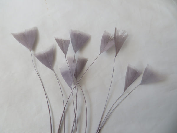 Pewter Grey Coque Feathers