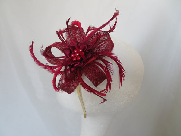 Burgundy Wine Mini Lily