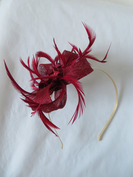 Burgundy Wine Mini Lily