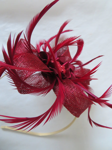 Burgundy Wine Mini Lily