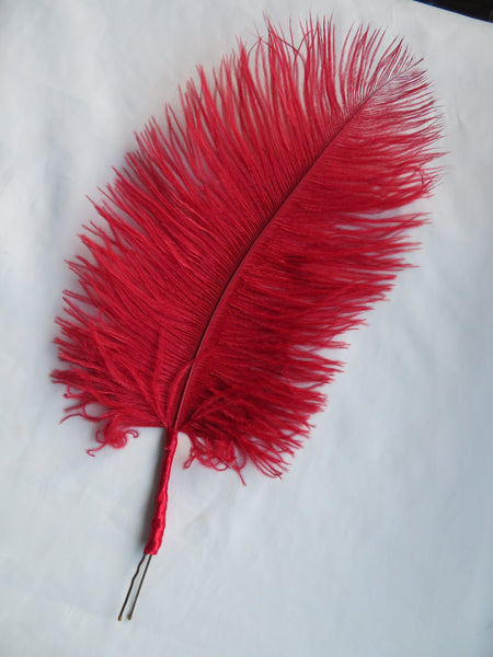 Regency Ostrich Plume Hair Piece