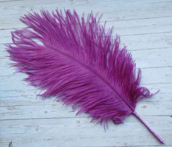 Regency Ostrich Plume Hair Piece