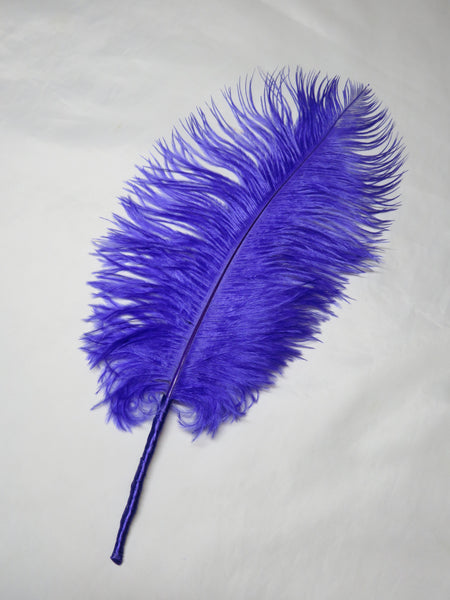 Regency Ostrich Plume Hair Piece