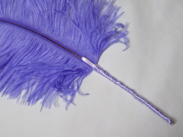 Regency Ostrich Plume Hair Piece