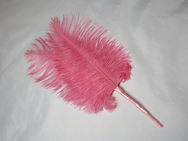 Regency Ostrich Plume Hair Piece