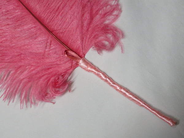 Regency Ostrich Plume Hair Piece