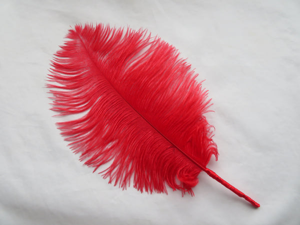 Regency Ostrich Plume Hair Piece