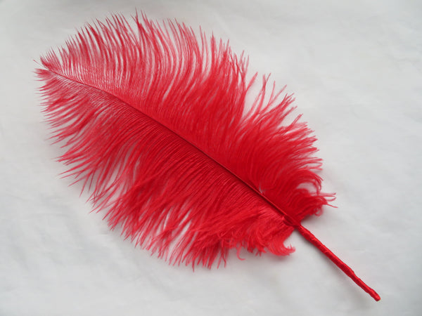 Regency Ostrich Plume Hair Piece