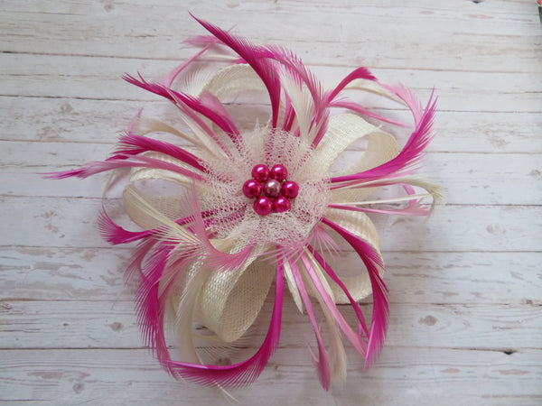 Raspberry Ripple Mini Lily