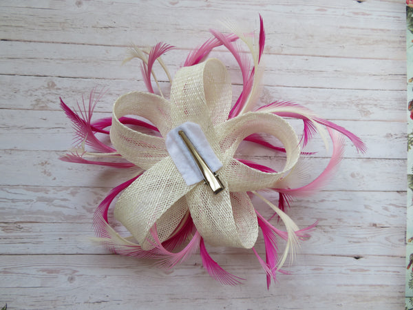 Raspberry Ripple Mini Lily