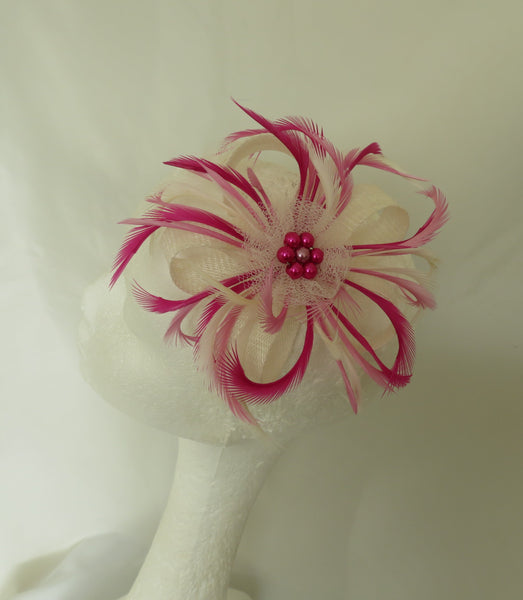 Raspberry Ripple Mini Lily