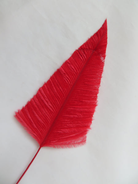 Red Single Ostrich Arrow Feather