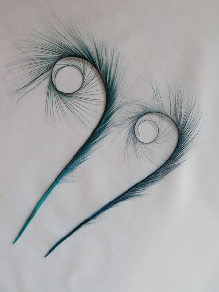 Turquoise Teal Blue Burnt Pheasant Curl Feathers