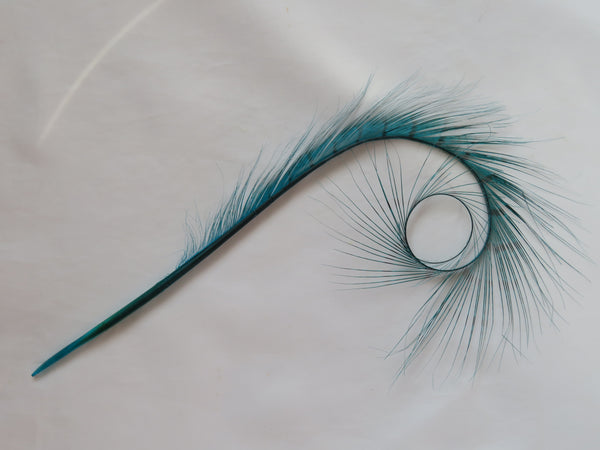 Turquoise Teal Blue Burnt Pheasant Curl Feathers