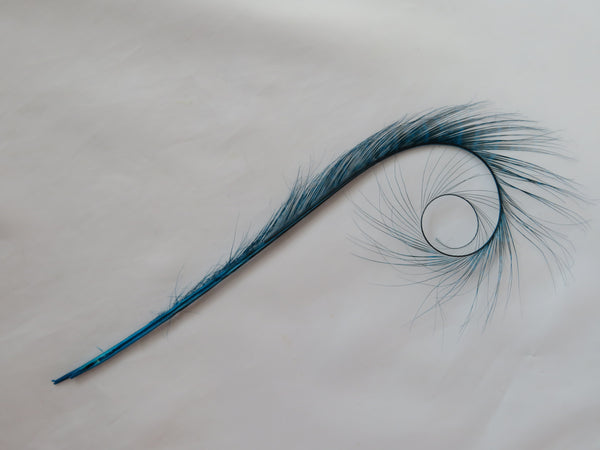 Turquoise Teal Blue Burnt Pheasant Curl Feathers