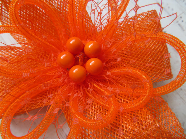 Bright Orange Clara