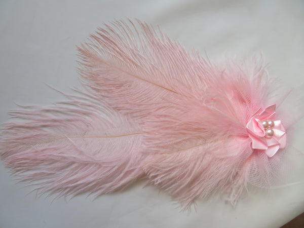 Pale Pink Austen Regency Headpiece