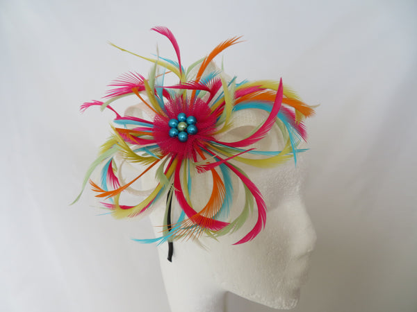 Rainbow Mini Lily
