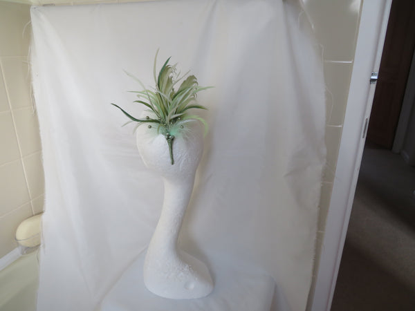 Green Botanical Regency Feather Sprig