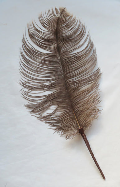 Chocolate Mocha Brown Regency Ostrich Feather Sprig