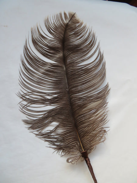 Chocolate Mocha Brown Regency Ostrich Feather Sprig